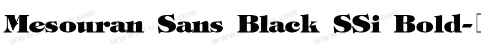 Mesouran Sans Black SSi Bold字体转换